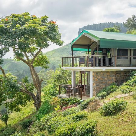 קנדי Madulkelle Tea And Eco Lodge מראה חיצוני תמונה