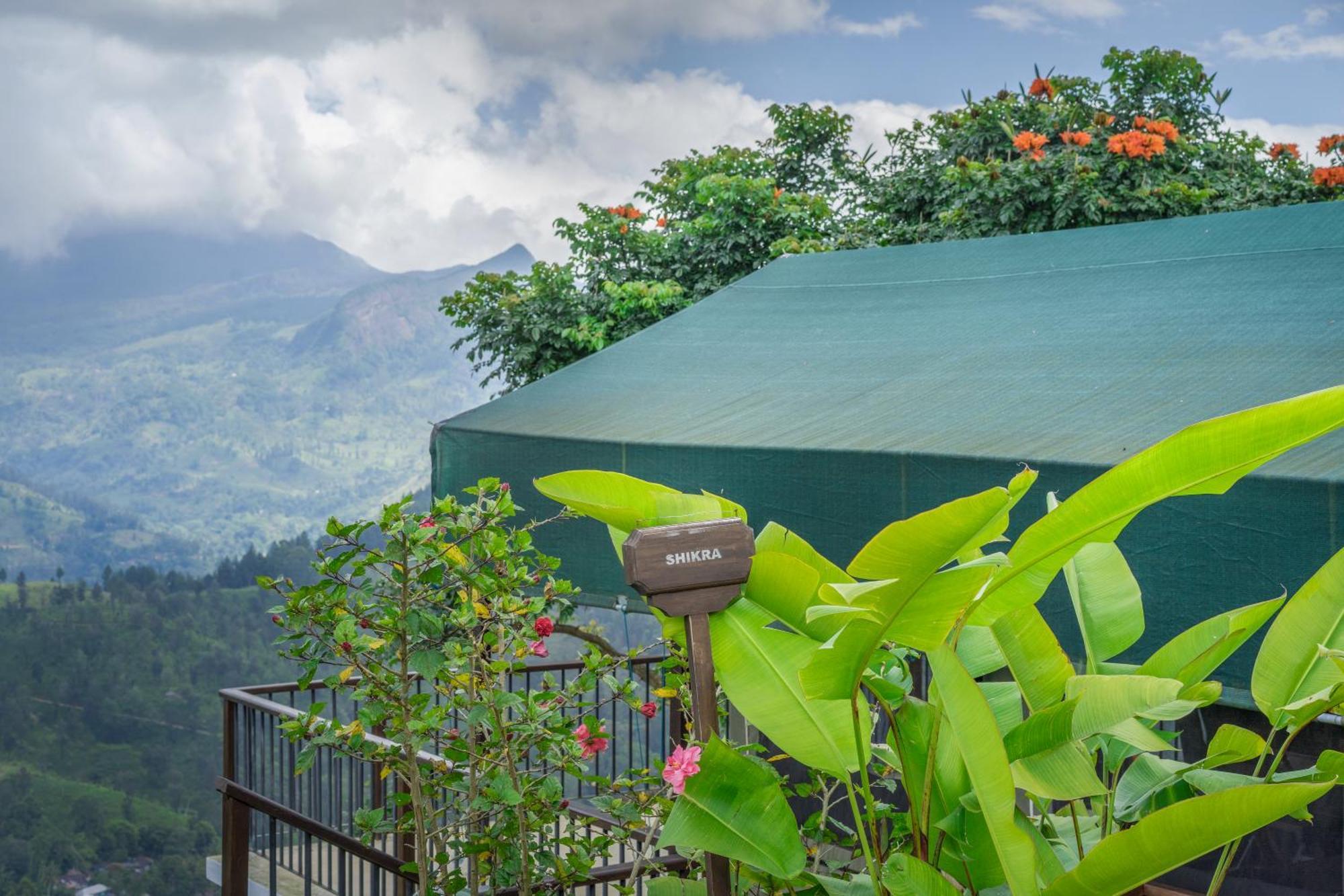 קנדי Madulkelle Tea And Eco Lodge מראה חיצוני תמונה