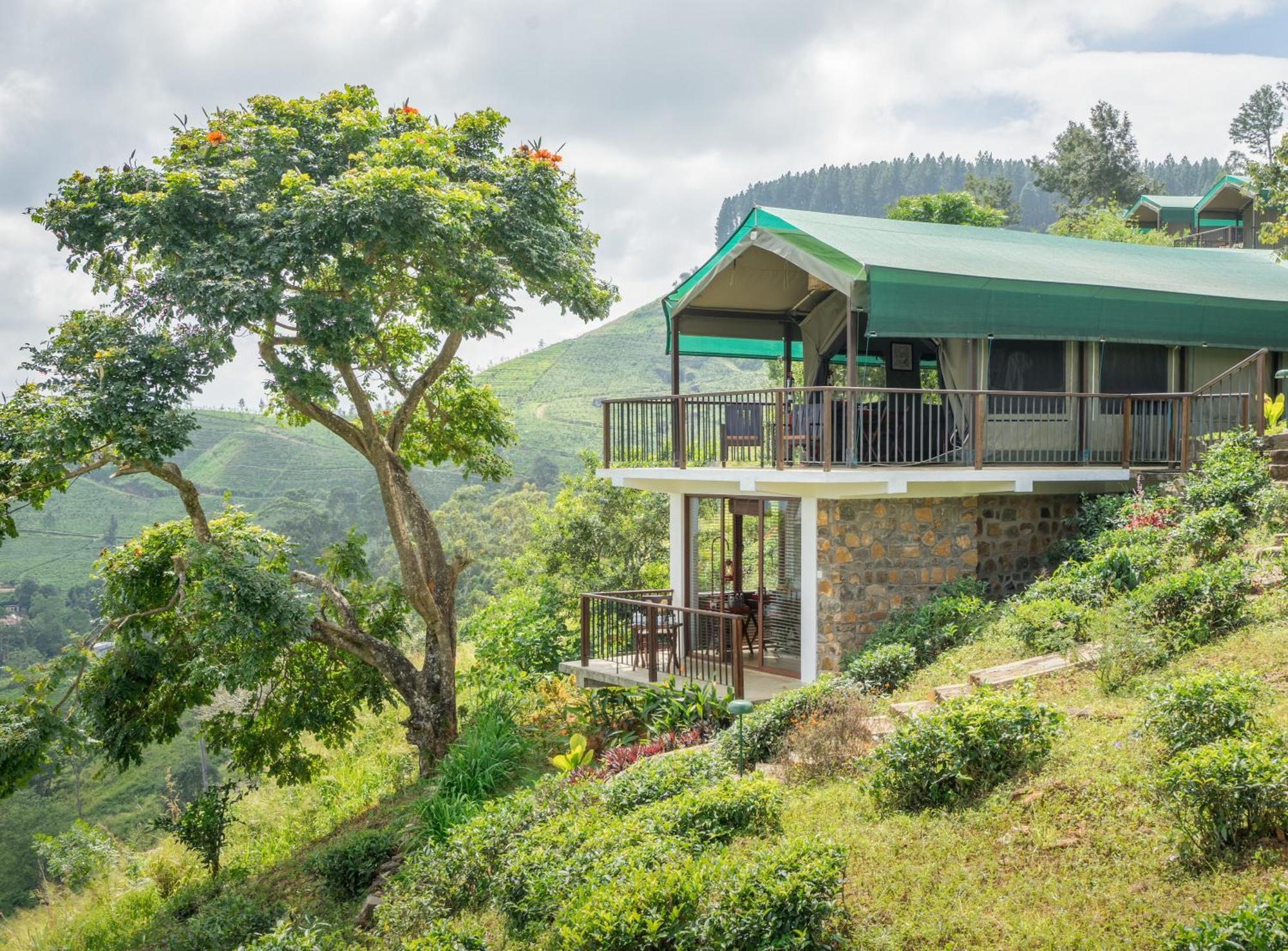 קנדי Madulkelle Tea And Eco Lodge מראה חיצוני תמונה