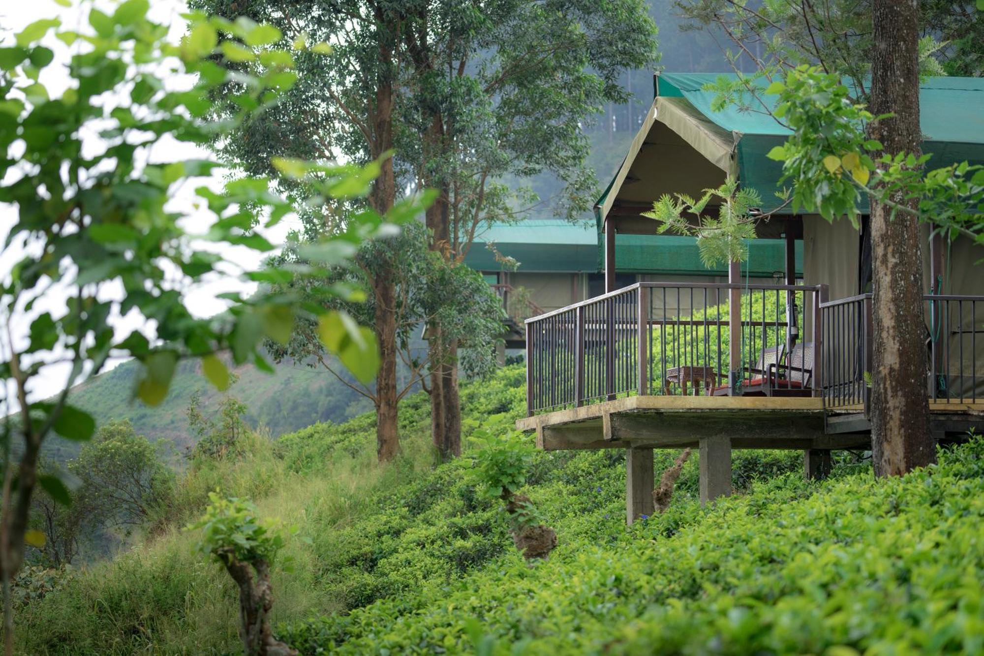 קנדי Madulkelle Tea And Eco Lodge מראה חיצוני תמונה