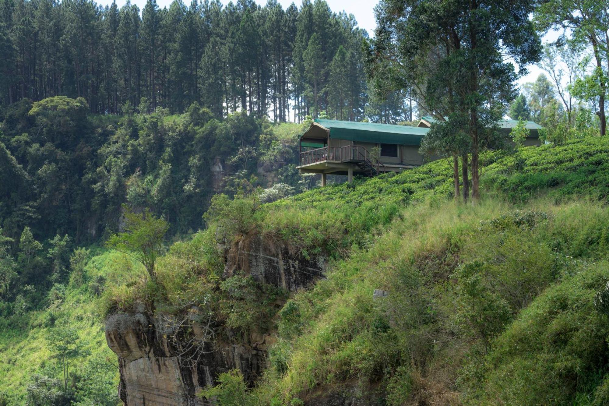 קנדי Madulkelle Tea And Eco Lodge מראה חיצוני תמונה