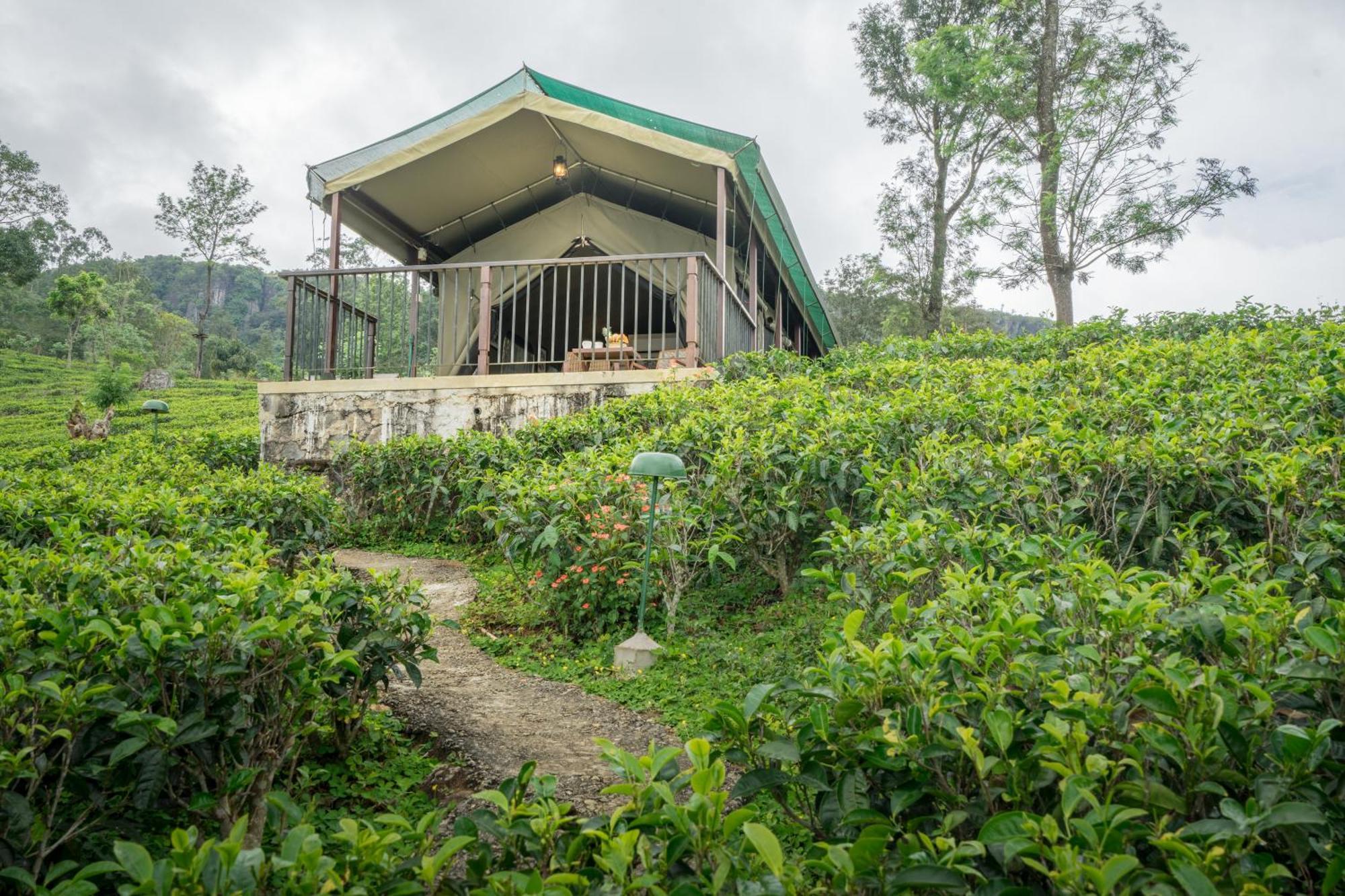 קנדי Madulkelle Tea And Eco Lodge מראה חיצוני תמונה